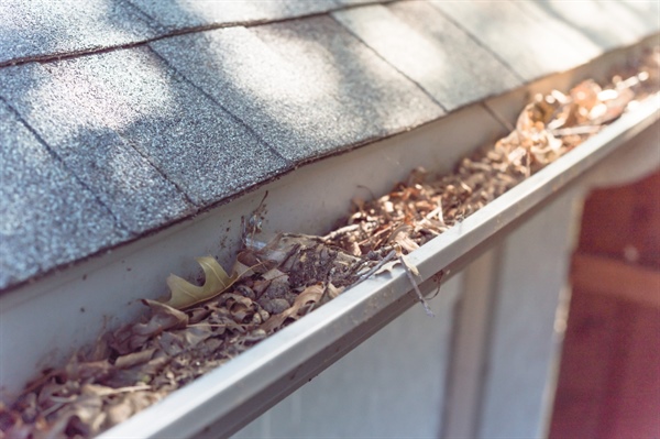 How Do Gutter Guards Work? Types, Costs, and Maintenance Tips