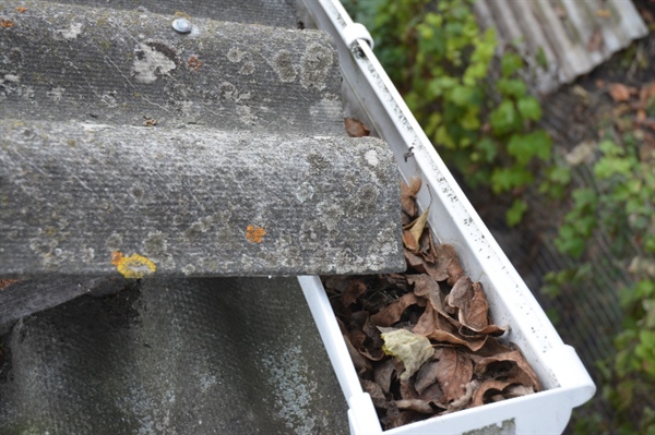 Signs You Need Gutter Repair or Replacement in Minneapolis